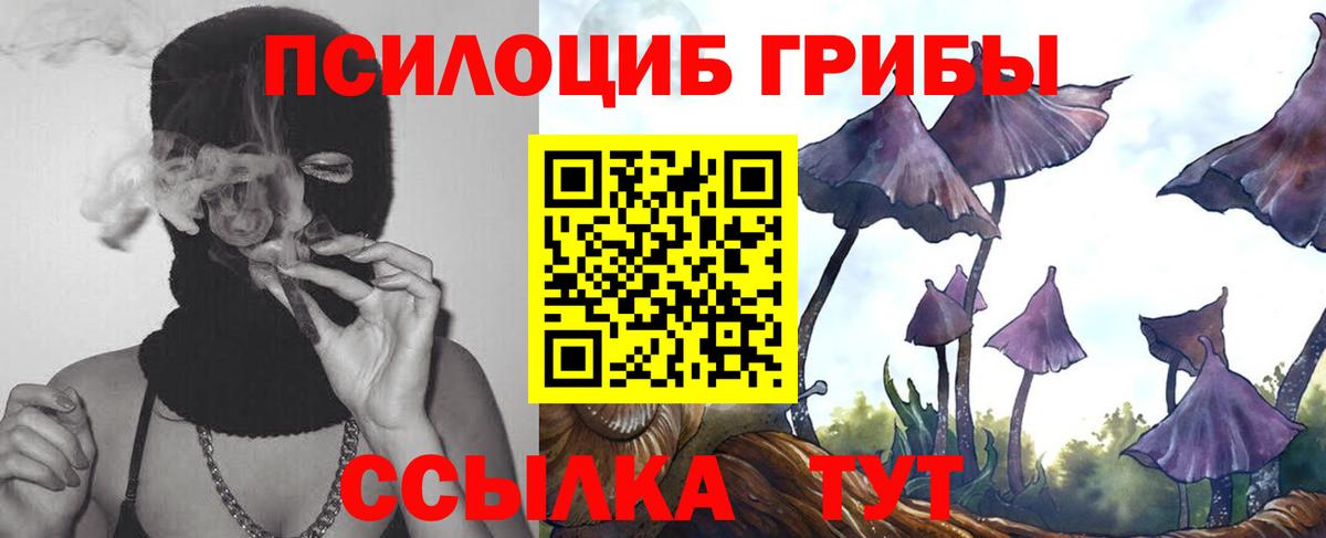Псилоцибиновые грибы Cubensis Сургут